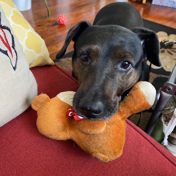 Meet your Posher, Megan - Picture 2 of 2